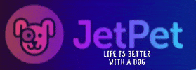 Jetpetresort GIF