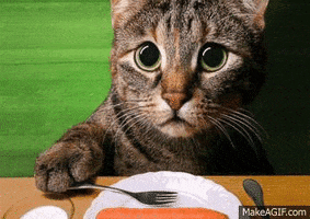 hungry eyes GIF