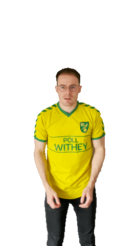 Talk Norwich City Sticker