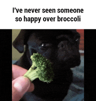 dogs broccoli GIF