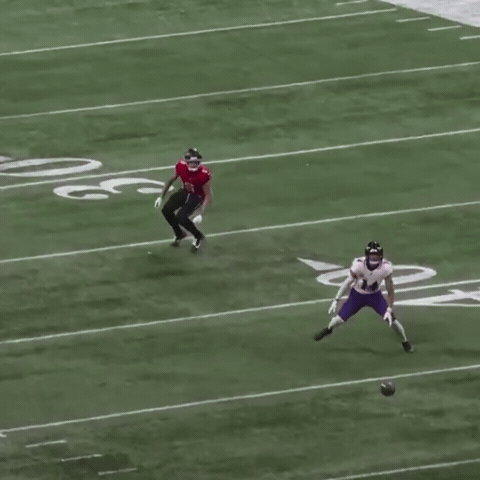 Baltimore Ravens GIF