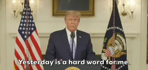 Donald Trump GIF