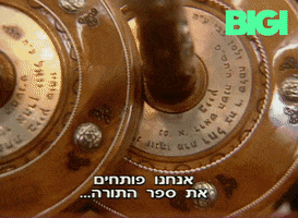 Torah GIF by BIGI_TV