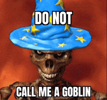 Wizard Do Not GIF