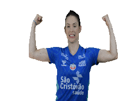 Osasco Voleibol Clube Sticker