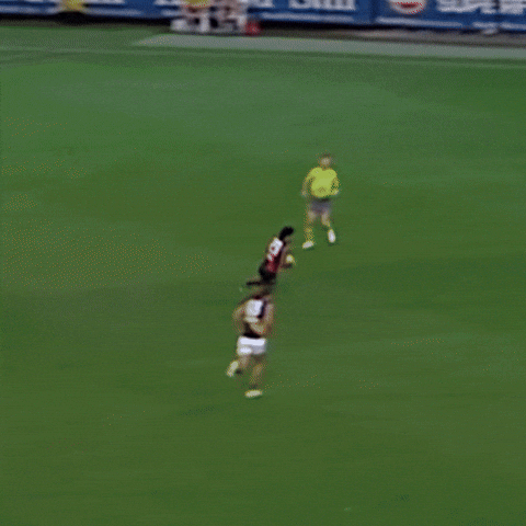 GIF by Essendon FC