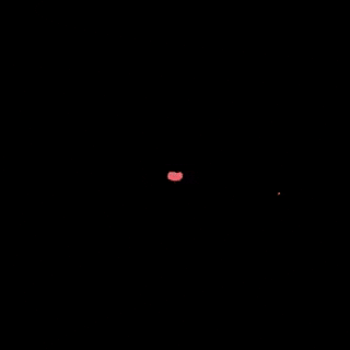 Oala GIF
