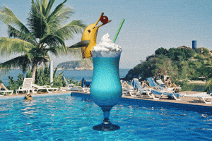 Vacation-Internal-Cheers GIF by Vacation®