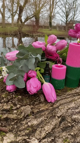 LORDS Fragrance House GIF