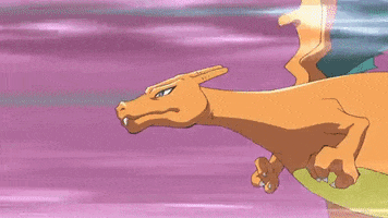 survey  GIF
