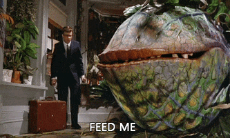 Little Shop Of Horrors GIFs - Get the best GIF on GIPHY
