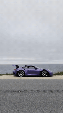 Purple GIF