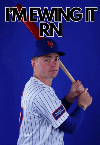 Mets Lfgm GIF