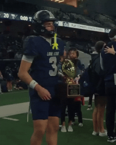 Fight On Lone Star GIF