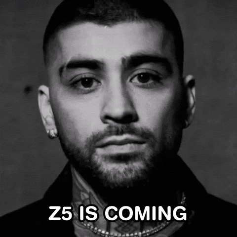 Z5 Zbr GIF