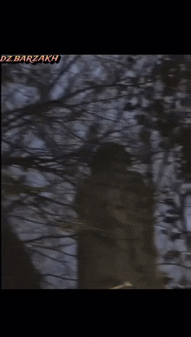 Barzakh GIF