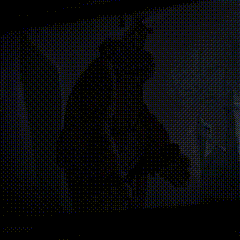Clown Indie Game GIF
