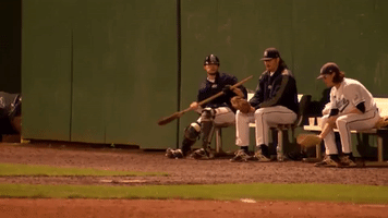 americaeast  GIF