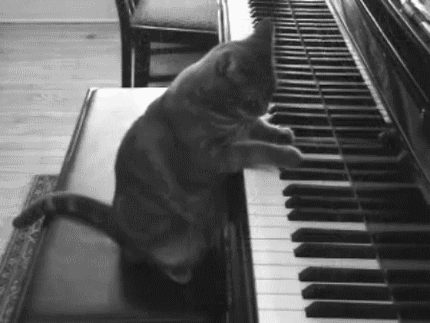 Anime-piano GIFs - Get the best GIF on GIPHY