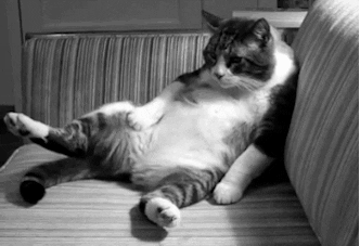 Tired Black And White GIF - Find & Share on GIPHY