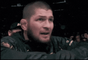Khabib Nurmagomedov Wow GIF