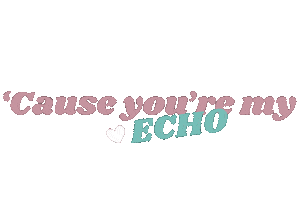 Echo Sticker