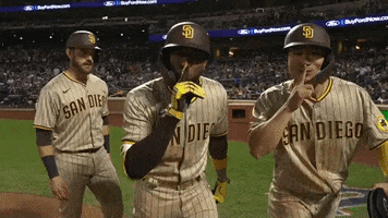 National League Sport GIF by MLB