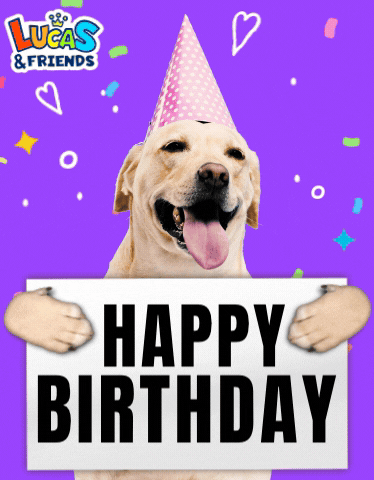 Happy Birthday Party GIF by Lucas and Friends by RV AppStudios