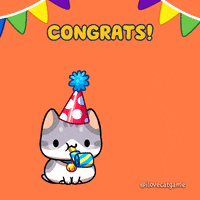 Happy Birthday Cat GIF by Mino Games