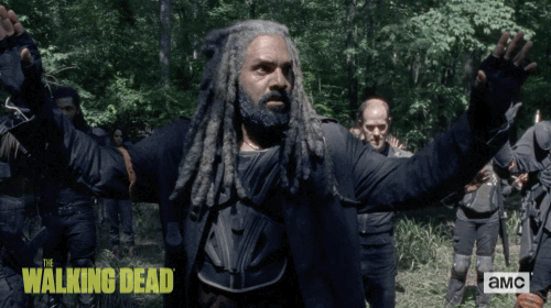 twd GIF by The Walking Dead