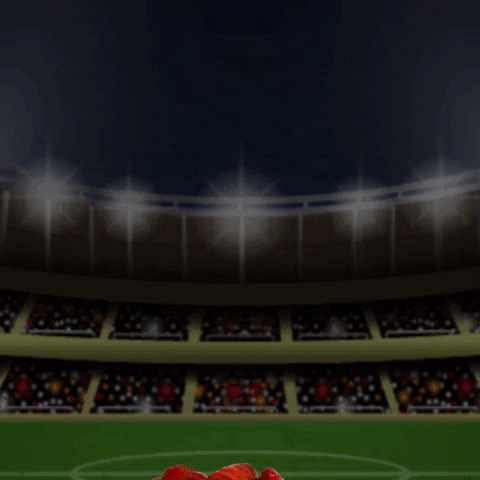 Chicken Touchdown GIF