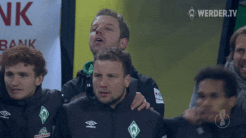 cheering celebrate GIF by SV Werder Bremen