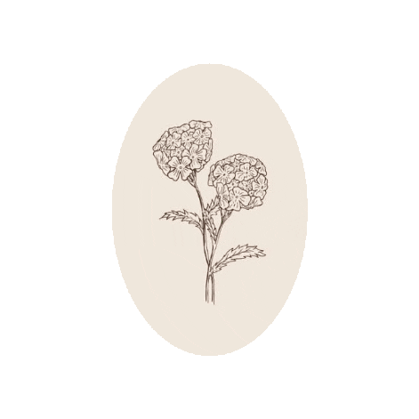 Verbena Sticker by remaxnet