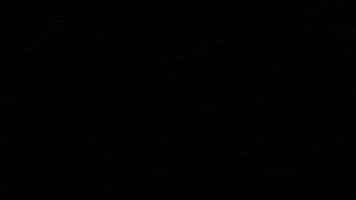 Barber Oster GIF by Clipdup