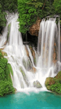 Water In The Background Gifs Get The Best Gif On Giphy water in the background gifs get the