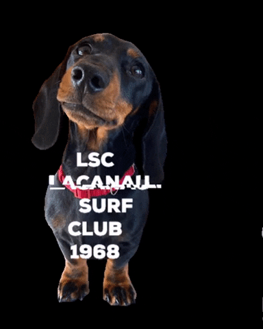 LacanauSurfClub GIF