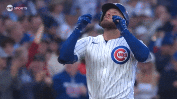 Chicago Cubs Baseball GIF by MLB