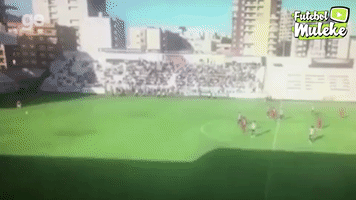 tiagodias-868e  GIF