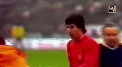 giphy.gif?cid=2154d3d747089d6cdaf3d7e8d9