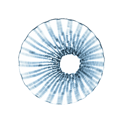 Source: Orla in Berlin