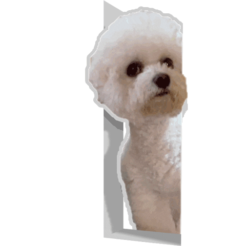 Dog Sticker
