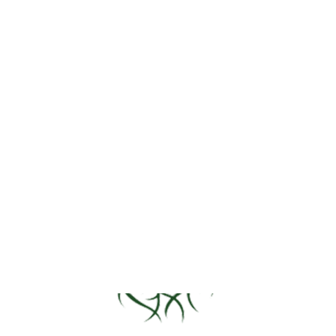 Crooked Roots Design Sticker
