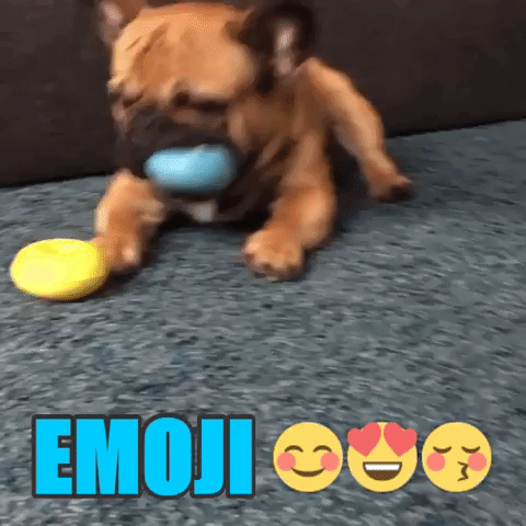 Emoji GIF by Pet Qwerks