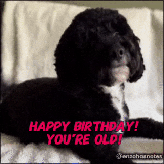 Getting Old Happy Birthday GIF