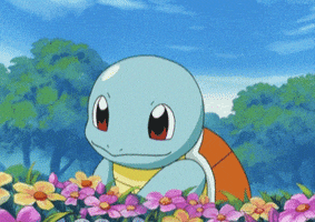 squirtle GIF