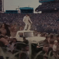 Puerto Rico Party GIF by Respective