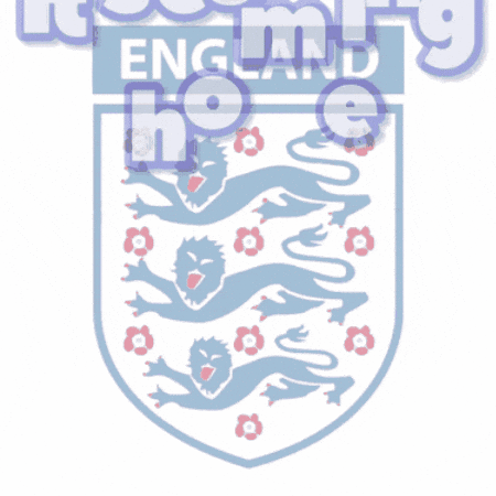 England Football Its Coming Home GIF