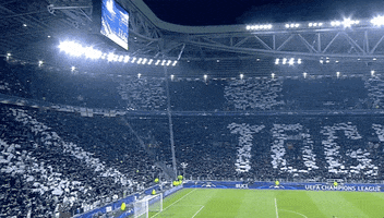 allianz stadium forza juve GIF by JuventusFC