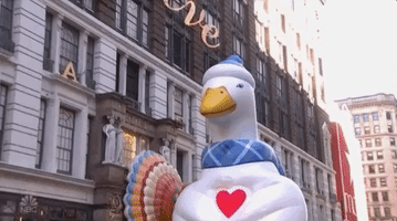 200.gif?cid=fc005b0803083f2a7d4d4701d838de1d74d38ef3e95a946b&rid=200.gif&ct=g