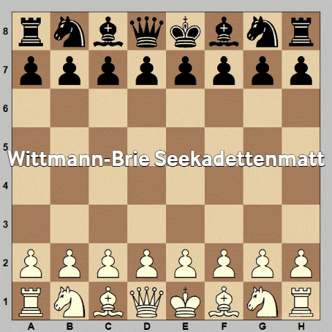 Chess Ajedrez GIF